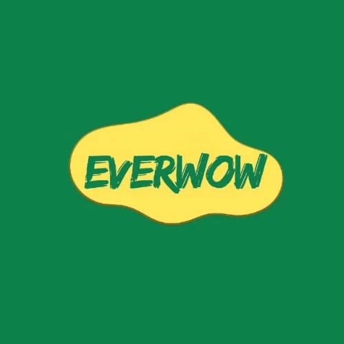 Everwow.in - The Better Option