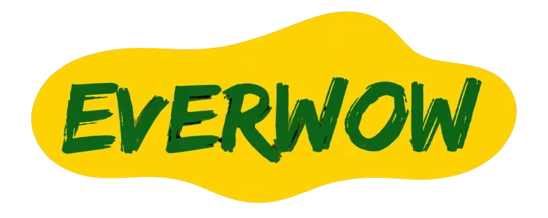 Everwow.in